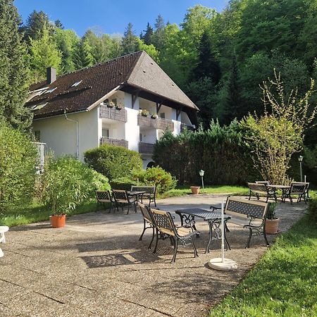 Ferienwohnung In Triberg Am Waldrand - Idyllisch, Ruhig, Erholsam Triberg im Schwarzwald Exterior foto