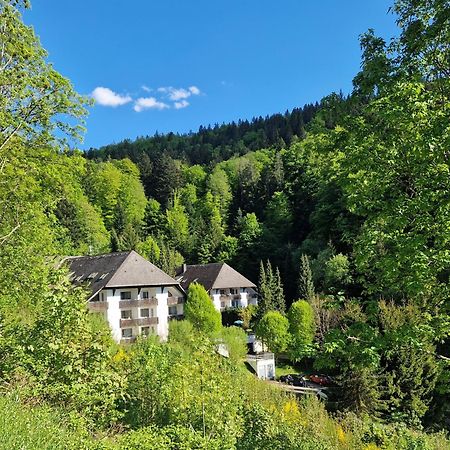 Ferienwohnung In Triberg Am Waldrand - Idyllisch, Ruhig, Erholsam Triberg im Schwarzwald Exterior foto