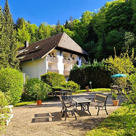 Ferienwohnung In Triberg Am Waldrand - Idyllisch, Ruhig, Erholsam Triberg im Schwarzwald Exterior foto