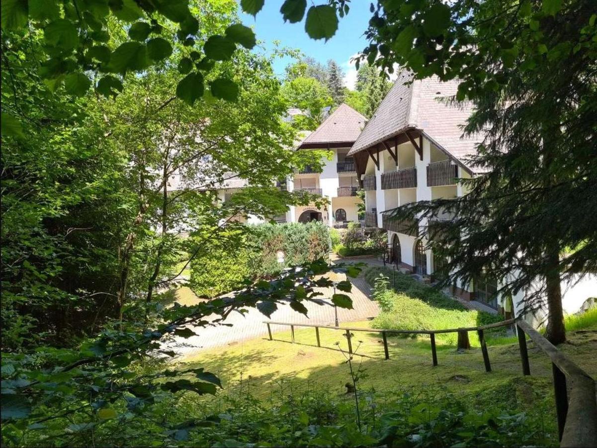 Ferienwohnung In Triberg Am Waldrand - Idyllisch, Ruhig, Erholsam Triberg im Schwarzwald Exterior foto