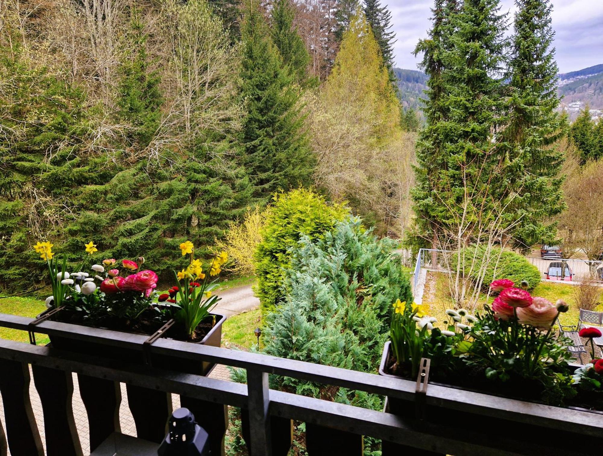 Ferienwohnung In Triberg Am Waldrand - Idyllisch, Ruhig, Erholsam Triberg im Schwarzwald Exterior foto