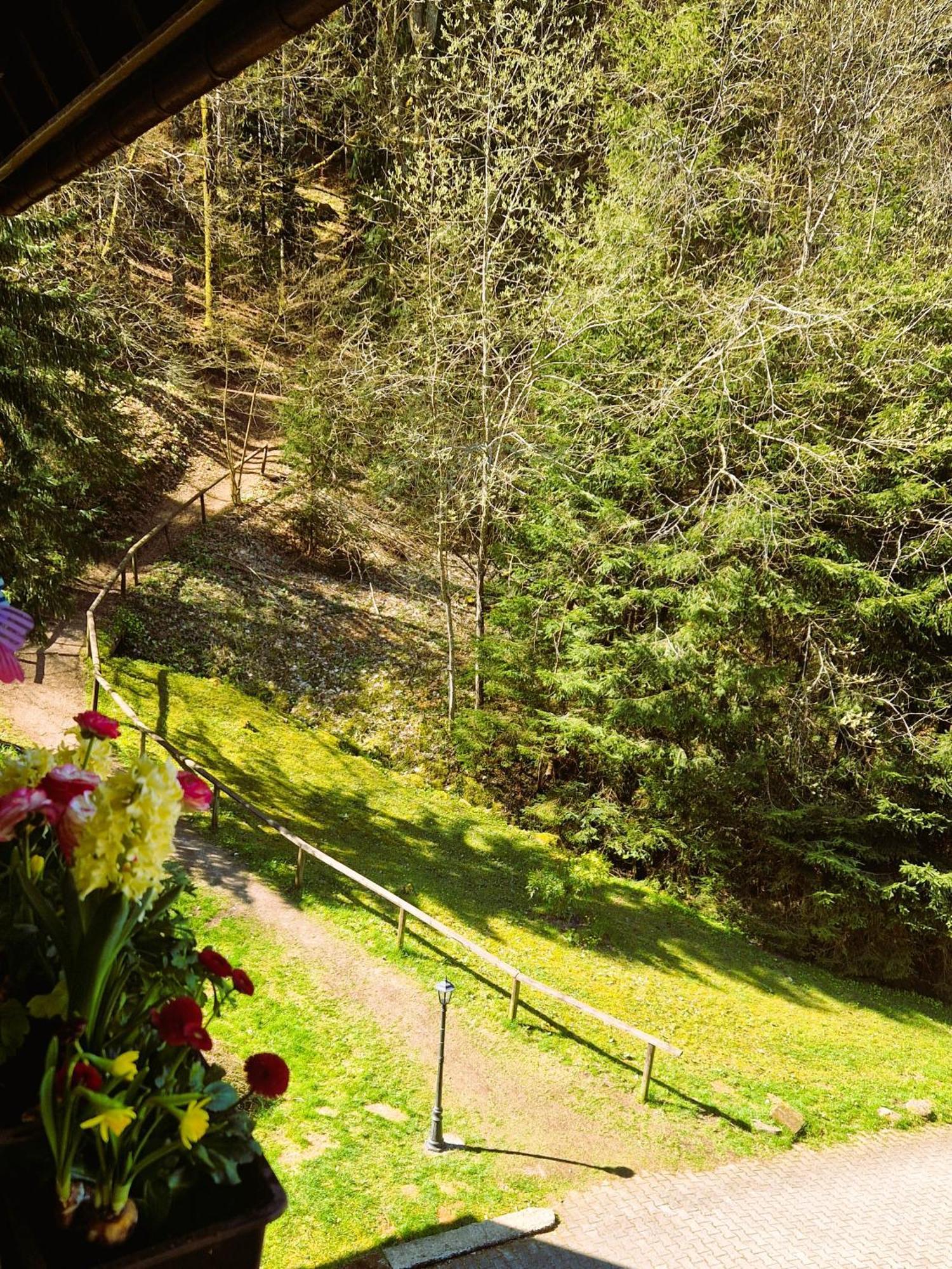 Ferienwohnung In Triberg Am Waldrand - Idyllisch, Ruhig, Erholsam Triberg im Schwarzwald Exterior foto