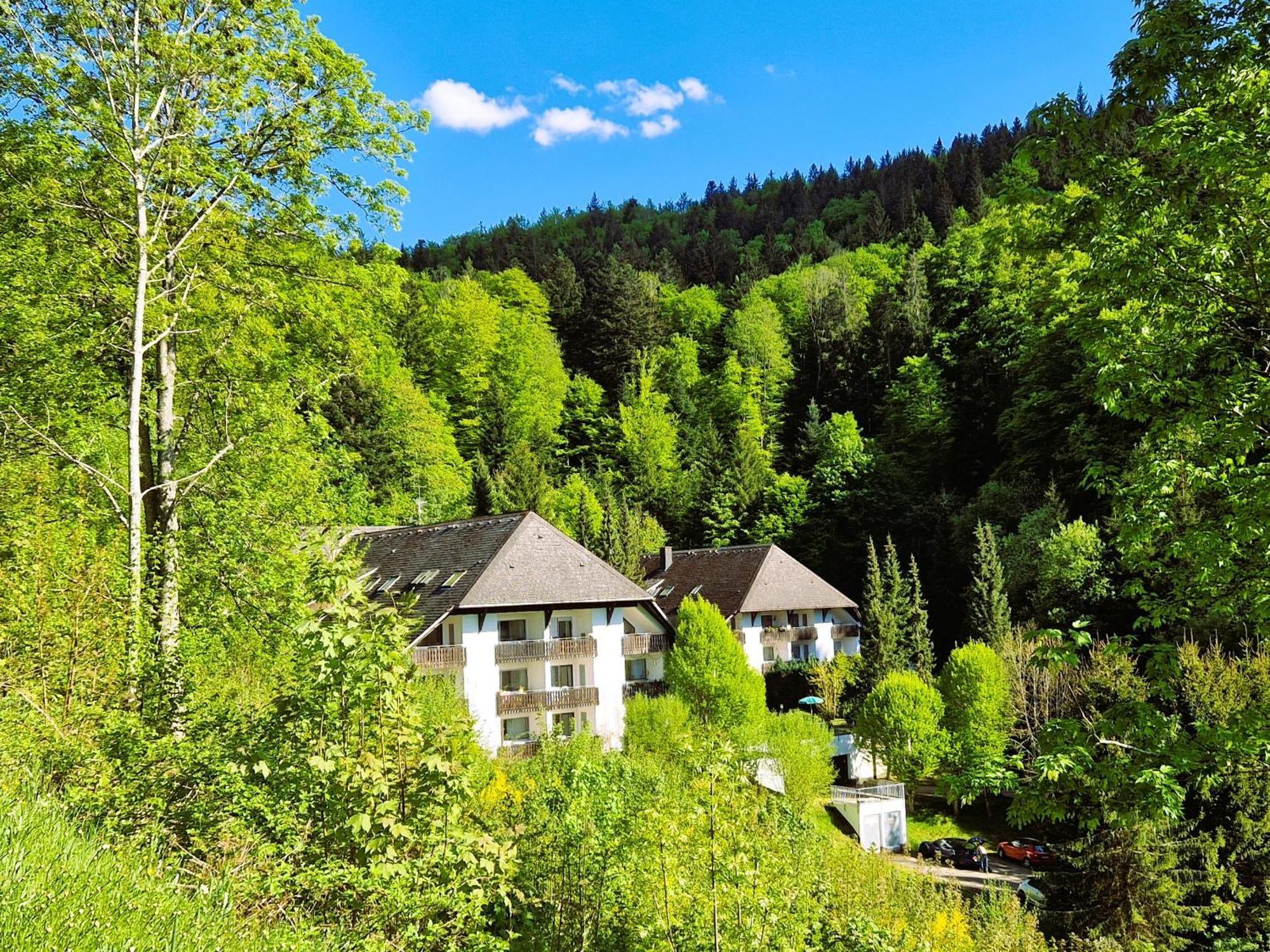 Ferienwohnung In Triberg Am Waldrand - Idyllisch, Ruhig, Erholsam Triberg im Schwarzwald Exterior foto